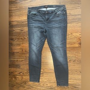 Judy Blue 2X Blue Skinny Fit Jeans